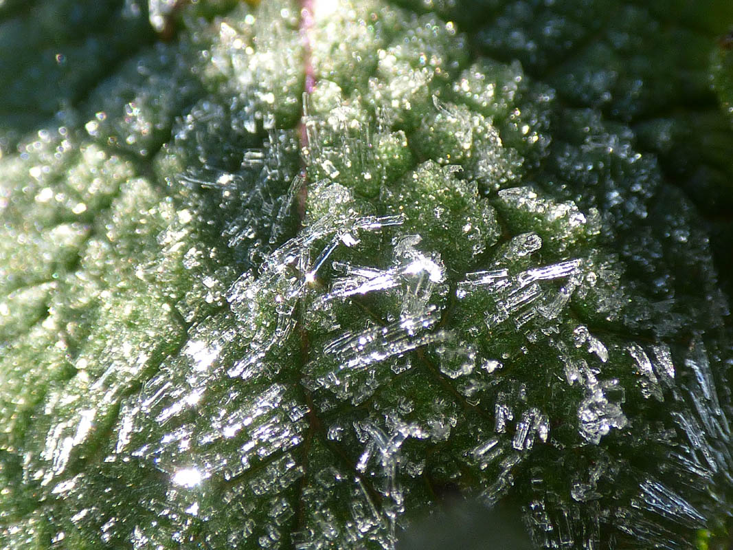 Vert de Cristal